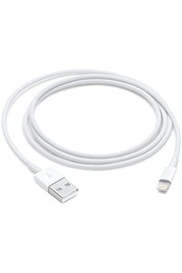 Apple USB-A Cable